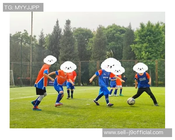 梦幻足球球衣在中国的流行趋势与市场潜力分析